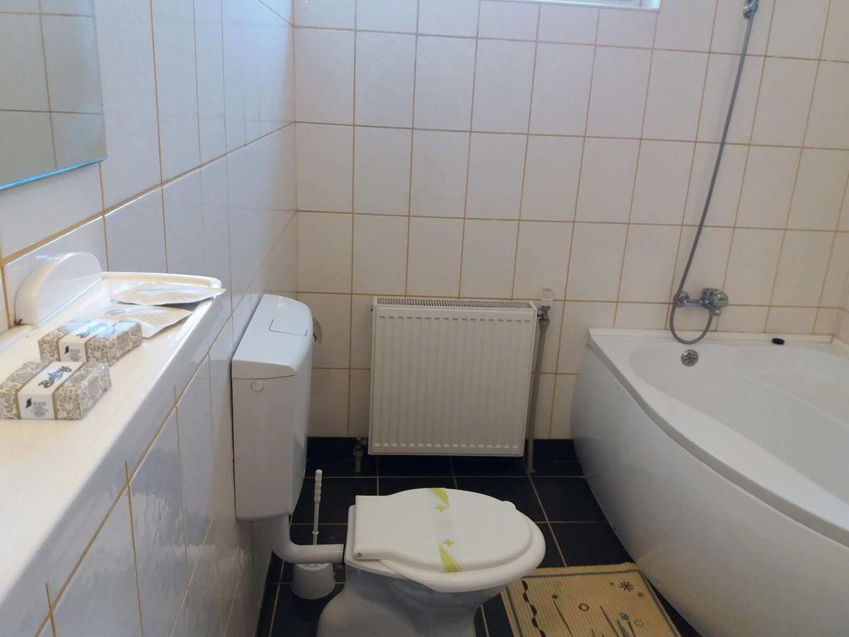 Hotel Maier Hunedoara Dış mekan fotoğraf