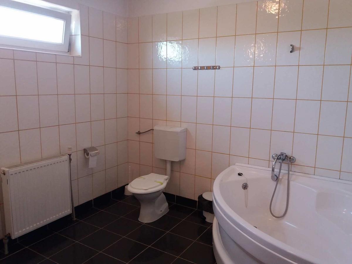 Hotel Maier Hunedoara Dış mekan fotoğraf